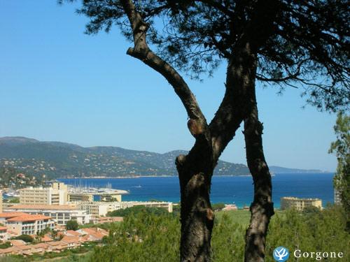 Photo n°3 de :Loue T3 vue mer + piscine