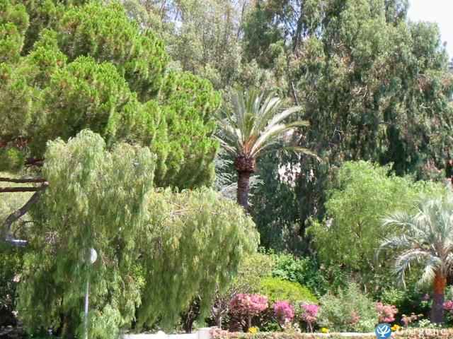 Photo n°4 de :BORD DE MER LAVANDOU ST CLAIR VILLA T2 2 PERSONNES